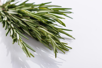 Rosemary essential oil on a white background