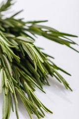 Fototapeta premium Rosemary essential oil on a white background