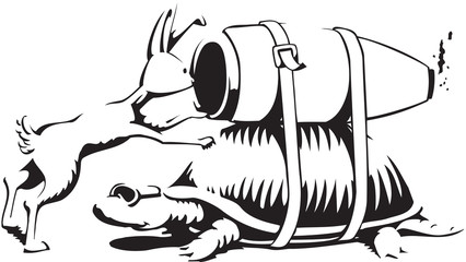 Hare and Fast Tortoise © Jim Hayes