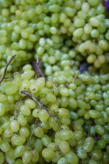 Grapes on the Market.  fresh green grapes and purple grapes.