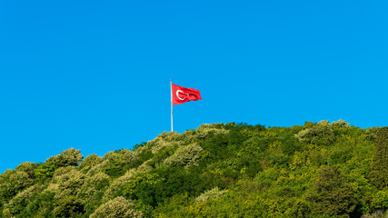 Turkey Flag Flying Over Forest
