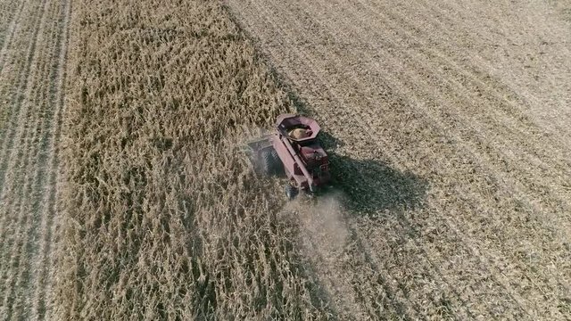 Combine Harvesting Corn in Autumn Aerial