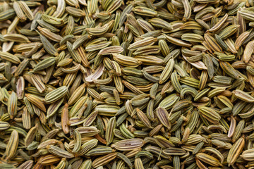 essential oil of fennel seeds on a white background