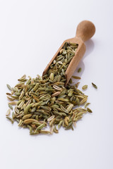 essential oil of fennel seeds on a white background