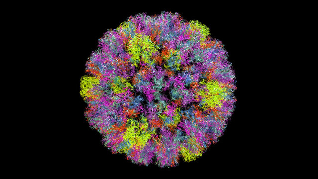 3D CG rendered image of scientifically accurate Human Papilloma Virus (HPV) Capsid Structure based on PDB : 3J6R (ribbon style)