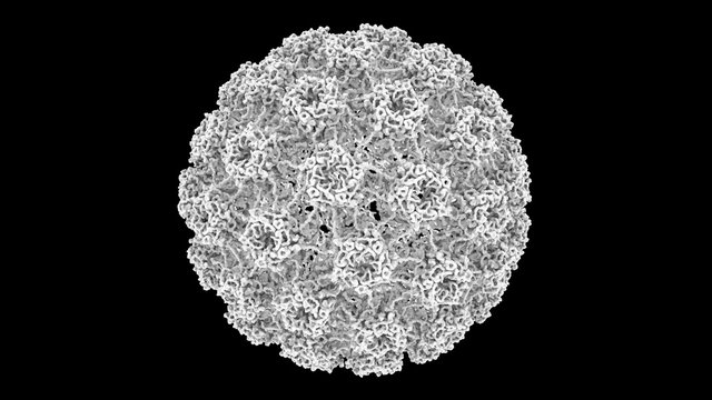 3D CG rendered image of scientifically accurate Human Papilloma Virus (HPV) Capsid Structure based on PDB : 3J6R (surface-occlusion style)
