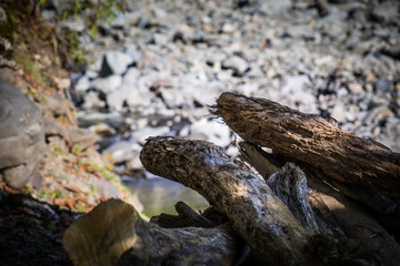 Natural hand made fence made of wooden tree brenches. Close up view of village fence with moss on wooden surface.