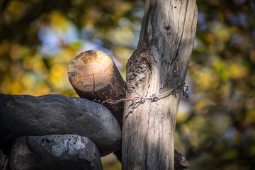 Natural hand made fence made of wooden tree brenches. Close up view of village fence with moss on wooden surface.