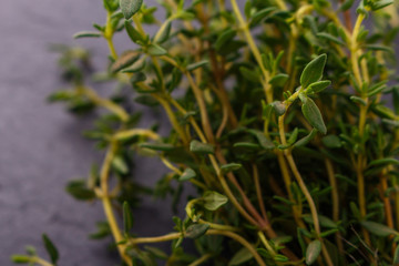 essential oil of thyme on a dark stone background