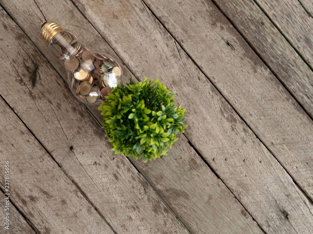 Wall mural top view light bulb with coin and tree on wood table. concept of cost reduction and reduce energy. t