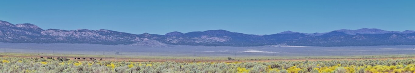 Fototapeta na wymiar Utah Rocky Mountain Wasatch Panoramic Landscapes by Fishlake National Forest, along Interstate 15 I-15, through Holden, Fillmore, Beaver, Scipio and Parowan Utah, USA. 