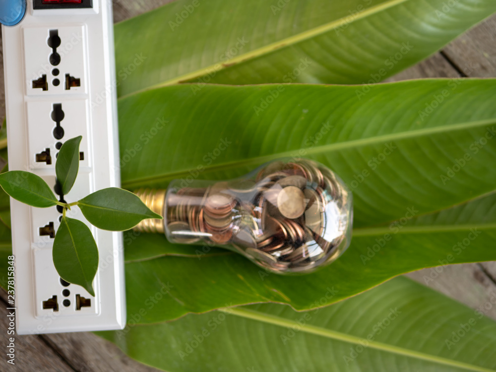 Wall mural top view light bulb with coin and tree on wood table. concept of cost reduction and reduce energy. t
