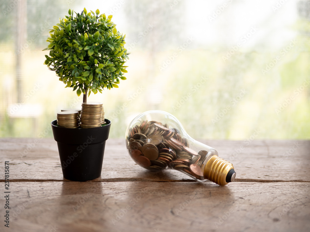 Wall mural light bulb with coin on wood table. concept of cost reduction and reduce energy. the use of natural 
