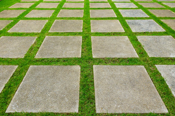 Obraz premium pathway on green grass in garden