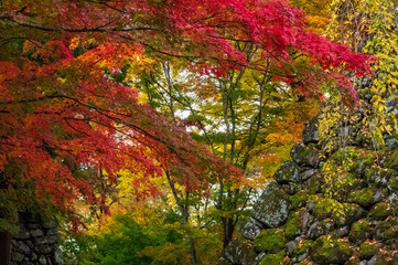 小諸城址懐古園　紅葉まつり