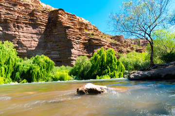 CAÑON DEL ATUEL