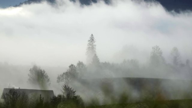 Morning mist floating through a wooded valley with a small hut in bavaria.