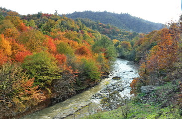 Fototapeta na wymiar Autumn landscape of the Talysh mountains