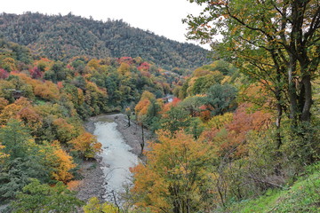 Naklejka na ściany i meble Autumn landscape of the Talysh mountains