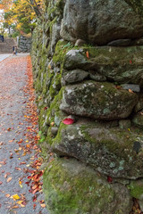 小諸城址懐古園　紅葉まつり