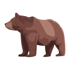 wild brown bear body  cartoon