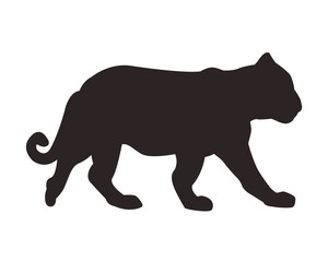 wild tiger body  cartoon