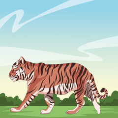 Fototapeta na wymiar wild tiger body cartoon