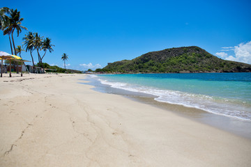 Pristine beach in St. Kitts

