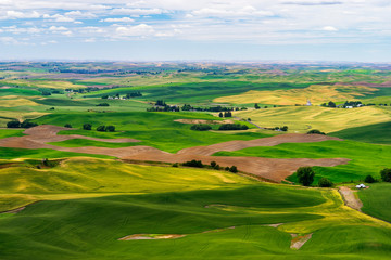 Palouse Region of Washington