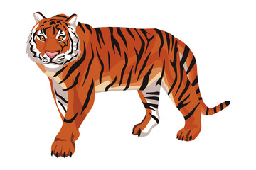 Obraz na płótnie Canvas wild tiger cartoon