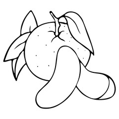 Vector hand drawn outlined mandarin. Whole fruit and slices. Contour sketch isolated on white background. Citrus design elements. Can be used for cards, invitations, gift wrap, print, scrap, menu.