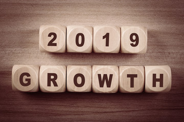 2019 New Year Growth Concept