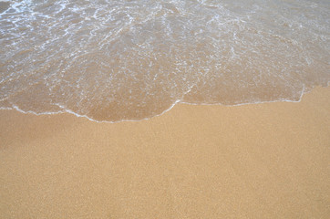 Fototapeta na wymiar Clear wave covering sandy beach
