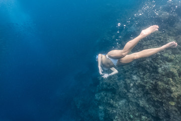 Skin diving with school of sardines in sexy bikini