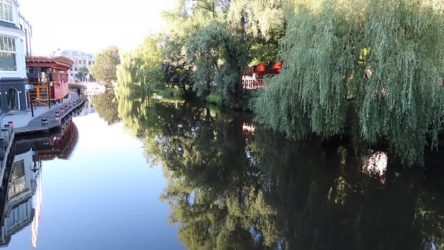 Beautiful landscape of a canal in Amsterdam with babylon willow on the edge. Netherlands. Panoramic plane tilt up