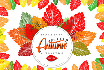 Autumn illustration Vector leaves Seasonal lettering.