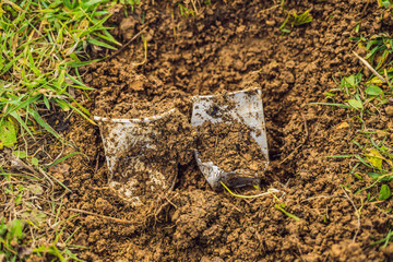 The boy plays recycling. He buries plastic disposable dishes and biodegradable dishes. biodegradable dishes began to decompose and plastic did not