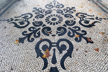 A variety of patterns of paving slabs on the pedestrian zones of Lisbon. Portugal in Autumn