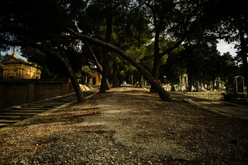 A Peaceful Walk © Sandro
