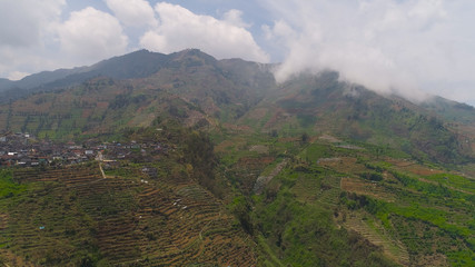Fototapeta premium agricultural land in mountains fields with crops, trees. Aerial view farmlands on mountainside Java, Indonesia. tropical landscape
