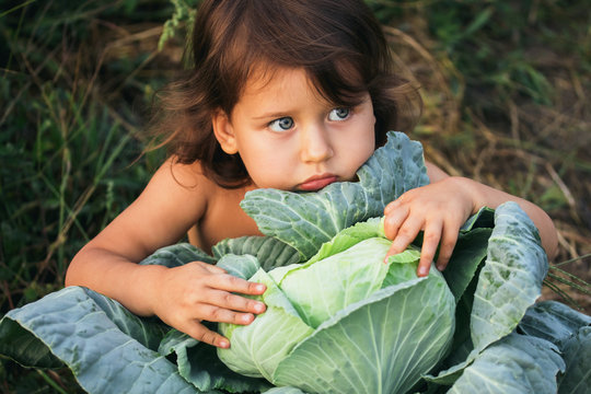 The little girl sits in a big crop of cabbage, portrait, day