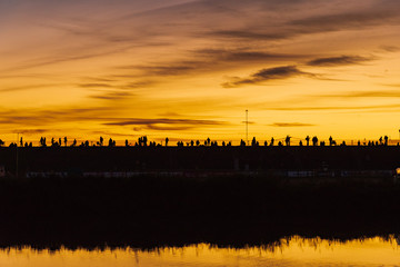 Obraz premium 光のある景色