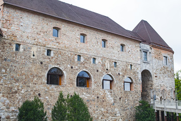 Obraz premium Ljubljana castle