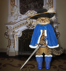 The cat musketeer in a blue cloak and a black hat with a feather holds a sword near a fireplace in the castle.