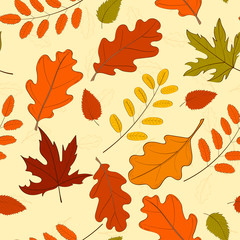 Hand drawn seamless pattern with fallen autumn leaves of various type and color on white background. Autumnal backdrop with colorful foliage. Vector illustration for textile print, wrapping paper.