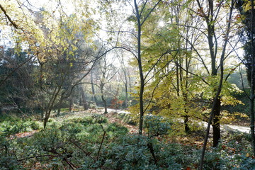 Parque Quinta de los Molinos (Madrid)