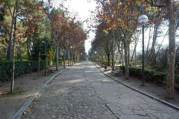 Parque Quinta de los Molinos (Madrid)