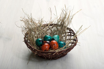 Orange and green quail eggs on the hay in the basket. White background. Place for text. Concept Easter decor