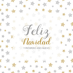 Fototapeta na wymiar Feliz Navidad y Prospero Ano Nuevo - spanish Christmas wishes. Vector.