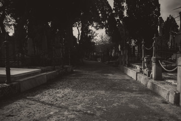 The Cemetery in Black and White © Sandro